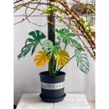  Đĩa nhựa mỏng nhẹ lót chậu cây VIETPOT, màu đen, cây cảnh, trang trí nhà vườn, ban công 