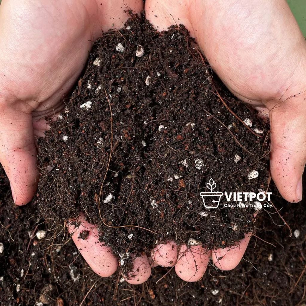  Đất trồng hoa hồng VIETPOT, NAMIX, bao 5 lít, tơi xốp, giữ ẩm tốt, hỗ trợ cây khoẻ ra hoa đẹp. 