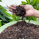  Đất trồng hoa hồng VIETPOT, NAMIX, bao 5 lít, tơi xốp, giữ ẩm tốt, hỗ trợ cây khoẻ ra hoa đẹp. 