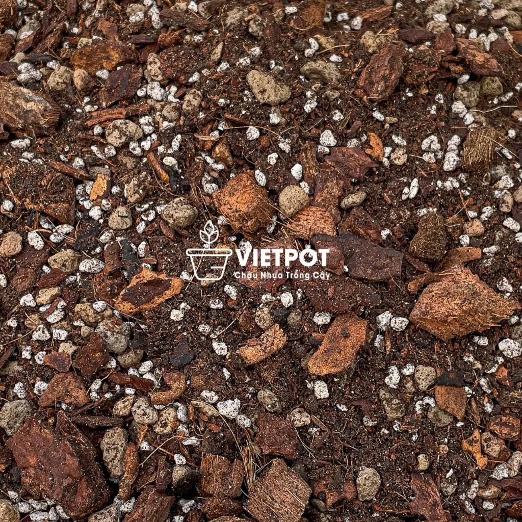  Giá thể trồng kiểng lá VIETPOT, trộn sẵn, chuyên dùng cho cây trong nhà, ngoài trời, Monstera... 