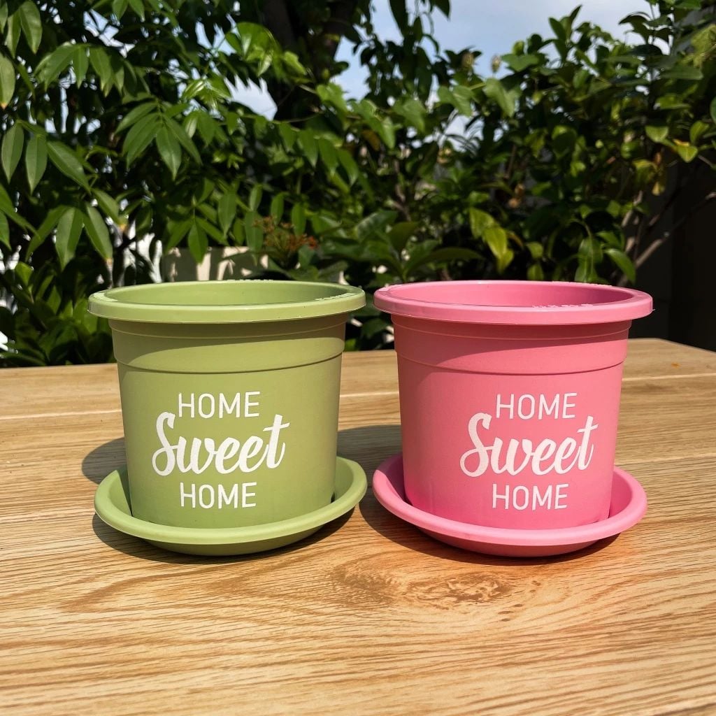  Chậu nhựa trồng cây VIETPOT, size nhỏ 13x11cm, Sweet Home, trồng hoa kiểng, để sân vườn, bàn. 