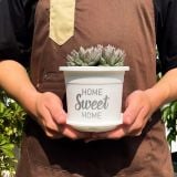  Chậu nhựa trồng cây VIETPOT, size nhỏ 13x11cm, Sweet Home, trồng hoa kiểng, để sân vườn, bàn. 