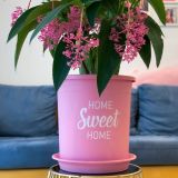  Chậu nhựa trồng cây VIETPOT, size lớn 34x36cm, 6.6gal, Sweet home, trồng hoa kiểng để sân vườn nhà. 