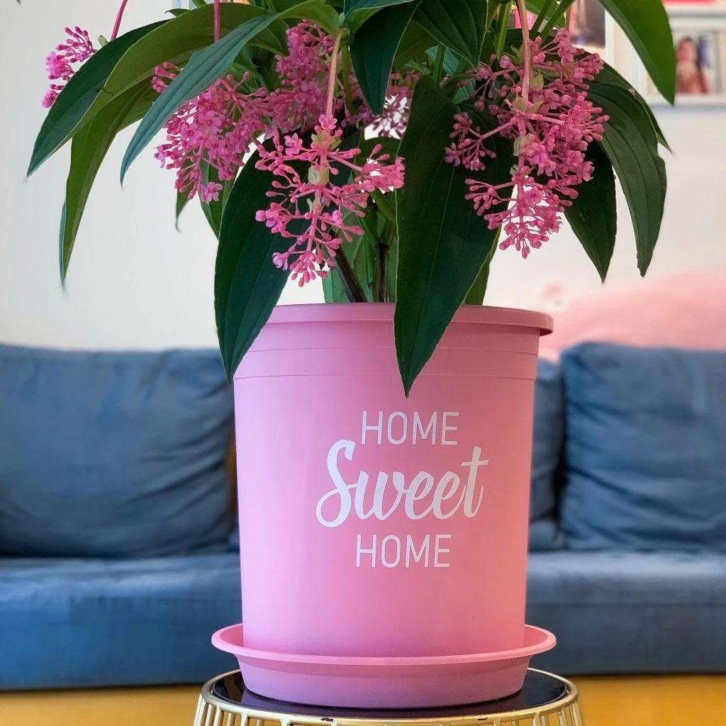  Chậu nhựa trồng cây VIETPOT, size lớn 34x36cm, 6.6gal, Sweet home, trồng hoa kiểng để sân vườn nhà. 