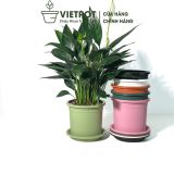  Chậu nhựa trồng cây VIETPOT, size 16x14, Trơn, kiểng lá, hoa hồng, để bàn, trang trí sân vườn. 