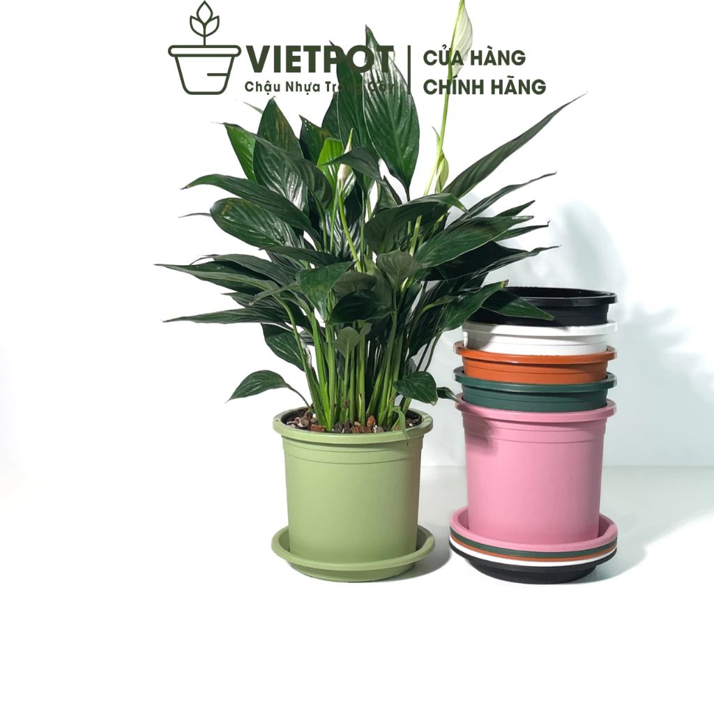  Chậu nhựa trồng cây VIETPOT, size 16x14, Trơn, kiểng lá, hoa hồng, để bàn, trang trí sân vườn. 