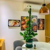  Trụ Nhựa VIETPOT, Gắn Chậu Trồng Kiểng Lá Leo Trụ, Vừa Khớp Nối Các Chậu VIETPOT trang trí sân vườn. 