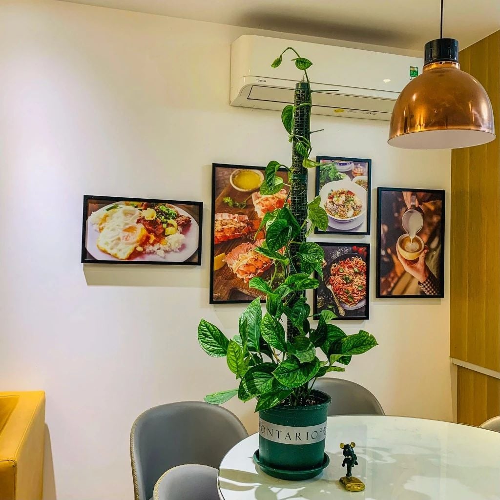  Trụ Nhựa VIETPOT, Gắn Chậu Trồng Kiểng Lá Leo Trụ, Vừa Khớp Nối Các Chậu VIETPOT trang trí sân vườn. 
