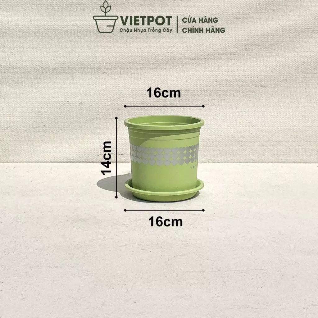  Chậu nhựa trồng cây VIETPOT, size 16x14, hoa văn tim, trồng kiểng lá, hoa hồng, để bàn, vườn. 