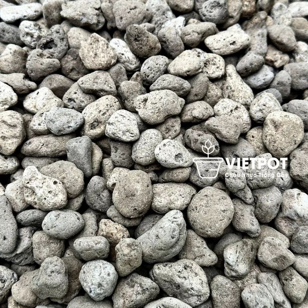  Đá Pumice VIETPOT, bao 800gr, size 1-2cm, giá thể trồng cây cung cấp khoáng chất cho hoa, xương rồng 