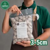  Đá Pumice VIETPOT, bao 800gr, size 1-2cm, giá thể trồng cây cung cấp khoáng chất cho hoa, xương rồng 