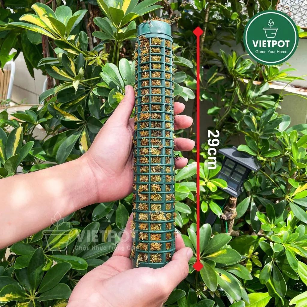  Trụ nhựa đã nhét rêu rừng VIETPOT, 29cm, vừa khớp gắn trụ chậu nhựa VIETPOT, trụ có thể gắn nối dài. 