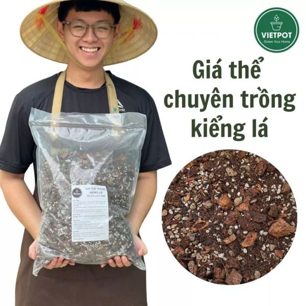  Giá thể trồng kiểng lá VIETPOT, trộn sẵn, chuyên dùng cho cây trong nhà, ngoài trời, Monstera... 