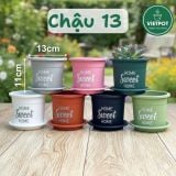  Chậu nhựa trồng cây VIETPOT, size nhỏ 13x11cm, Sweet Home, trồng hoa kiểng, để sân vườn, bàn. 