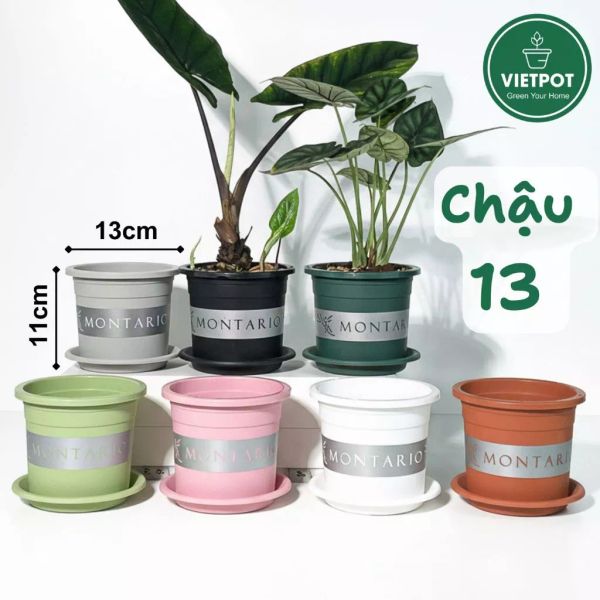  Chậu nhựa trồng cây VIETPOT, size nhỏ 13x11cm, MONTARIO, trồng kiểng lá hoa, để bàn, sân vườn 