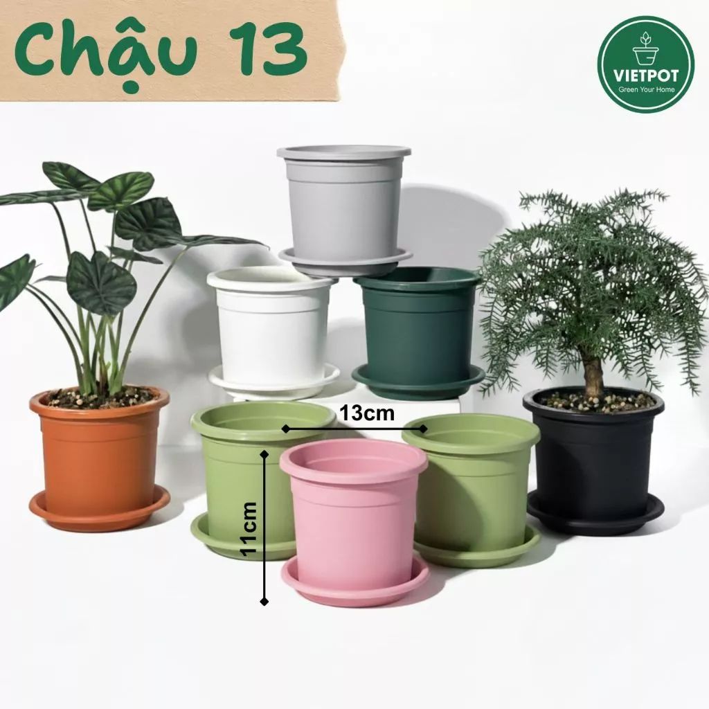  Chậu nhựa trồng cây VIETPOT, size 13x11, trơn, chính hãng, kiếng lá hoa, sen đá, bàn làm việc 