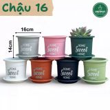  Chậu nhựa trồng cây VIETPOT, size 16x14cm, Sweet Home, hoa hồng, kiểng lá, để bàn, sân vườn. 