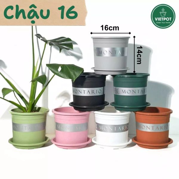  Chậu Nhựa Trồng Cây VIETPOT, size 16x14 Montario, trồng kiểng lá hoa hồng, trang trí sân vườn. 