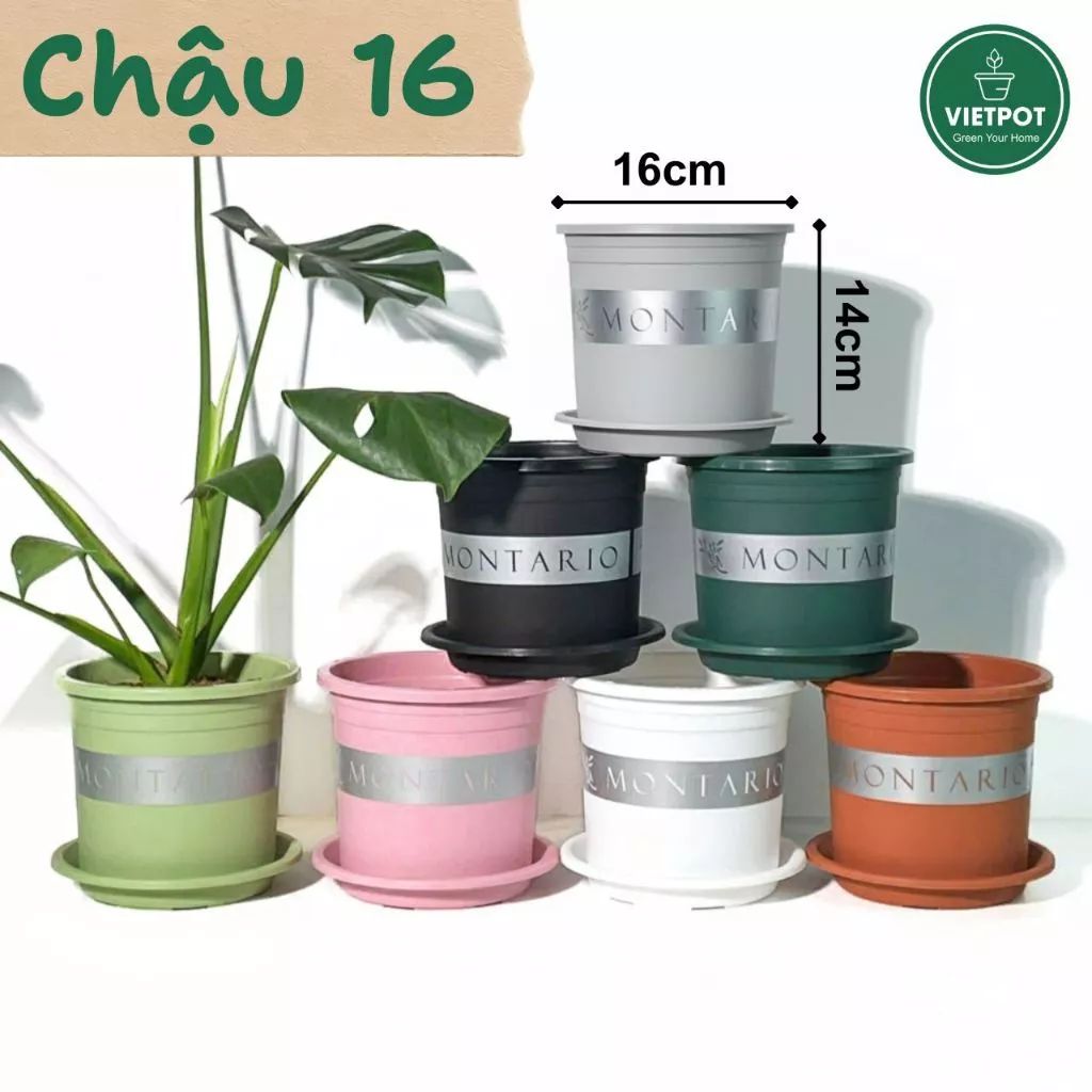  Chậu Nhựa Trồng Cây VIETPOT, size 16x14 Montario, trồng kiểng lá hoa hồng, trang trí sân vườn. 