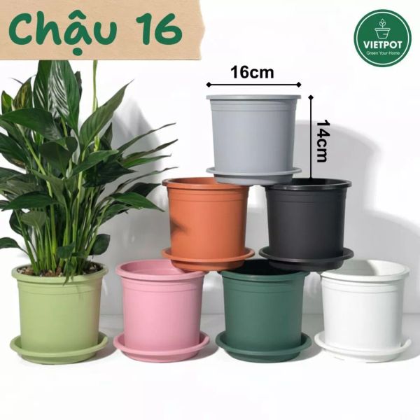  Chậu nhựa trồng cây VIETPOT, size 16x14, Trơn, kiểng lá, hoa hồng, để bàn, trang trí sân vườn. 