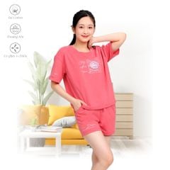 Set đồ bộ nữ kiểu quần đùi tay ngắn chất cotton siêu mát 195p 5200