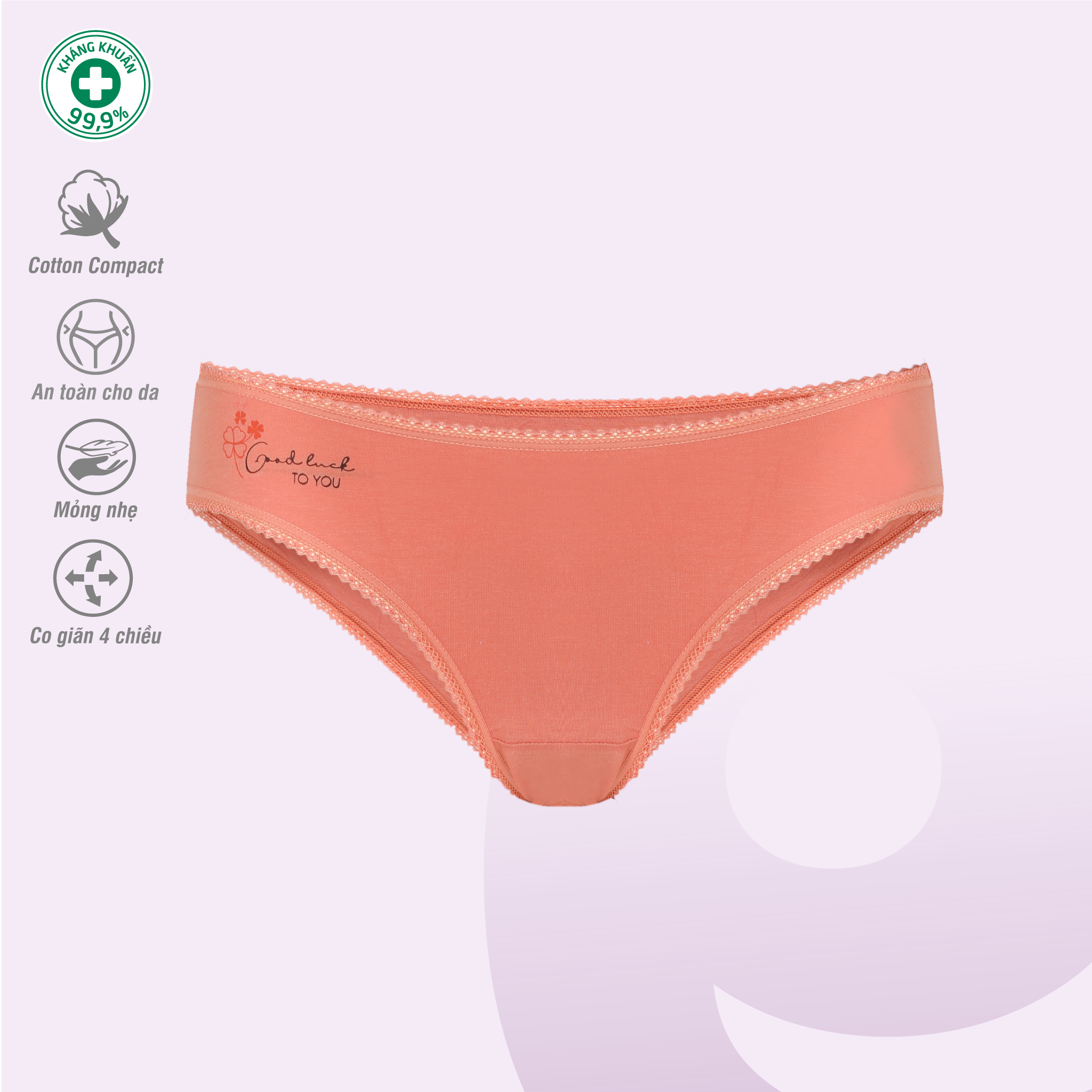 Combo 02-06-10 quần lót nữ chất cotton siêu mát 027p 7249
