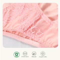 Combo 02-06-10 quần lót nữ chất cotton siêu mát 027p 7250