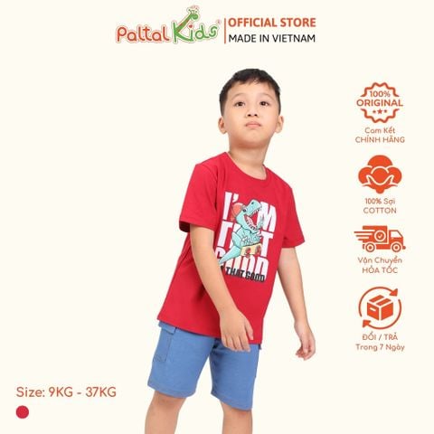 Áo Thun Hình In Khủng Long Cotton Mỹ Bé Trai Cao Cấp - 020 1391