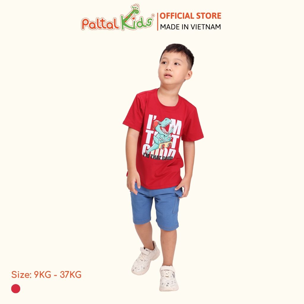 Áo Thun Hình In Khủng Long Cotton Mỹ Bé Trai Cao Cấp - 020 1391