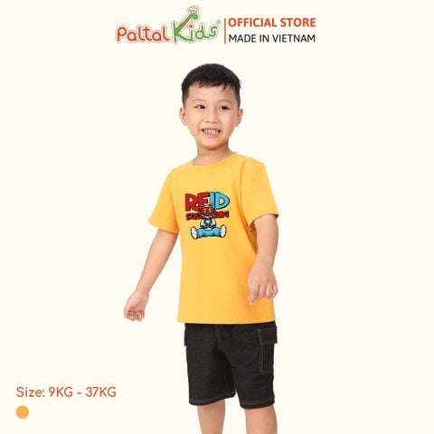 Áo Thun Hình In Ngầu Cotton Mỹ Bé Trai Cao Cấp - 020 1395