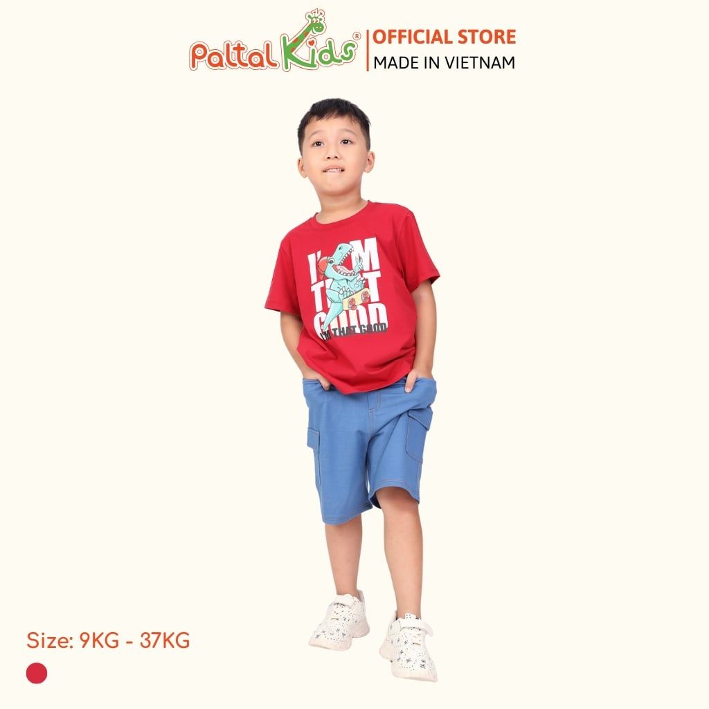 Áo Thun Hình In Khủng Long Cotton Mỹ Bé Trai Cao Cấp - 020 1391