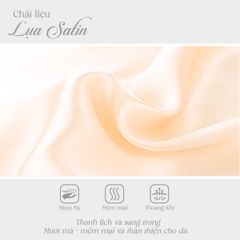 Set đồ bộ nữ kiểu quần đùi tay ngắn chất lụa nhung 265p 5147