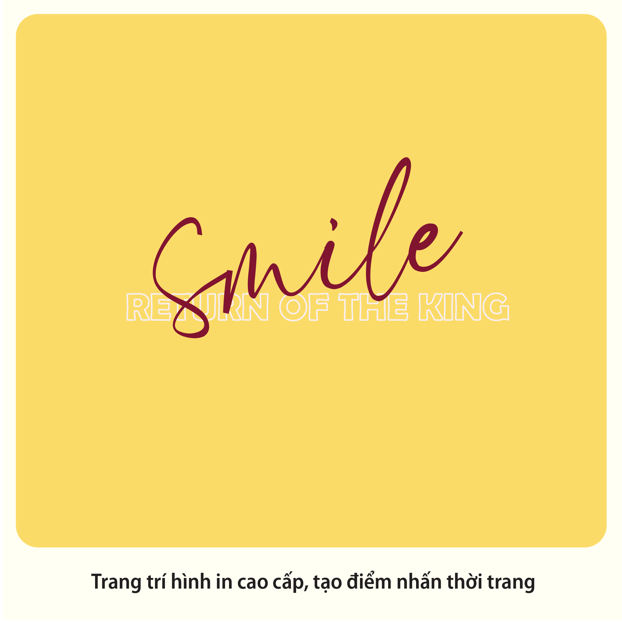 Áo thun nữ cổ tròn tay ngắn phom rộng chất cotton siêu mát 020p 0376