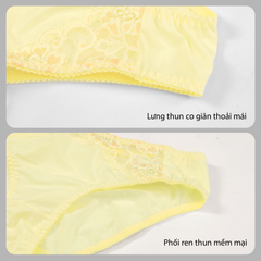 Combo 02-06-10 quần lót nữ chất thun lạnh siêu bền 017p 7258