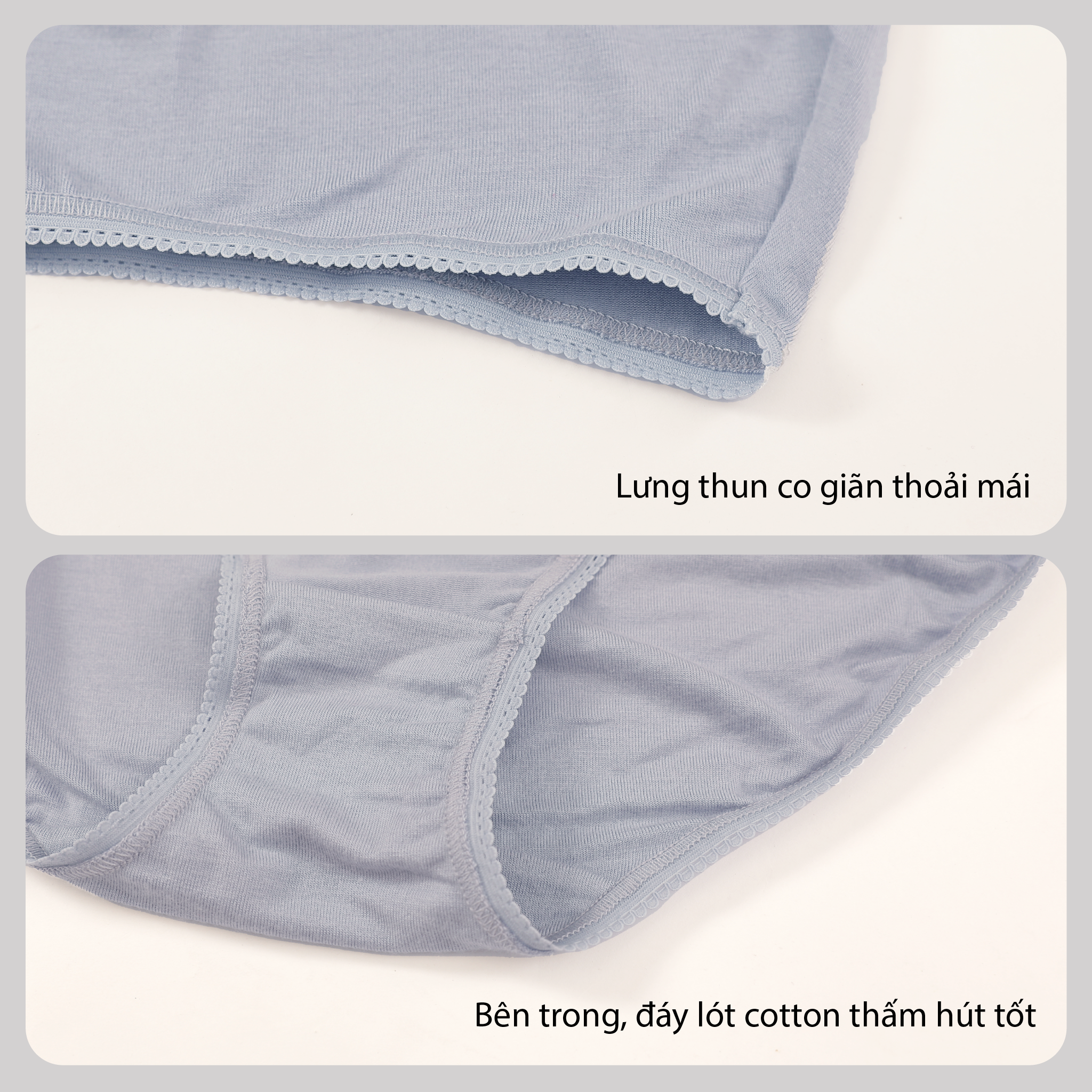 Combo 02-06-10 quần lót cotton siêu mát 027 7496