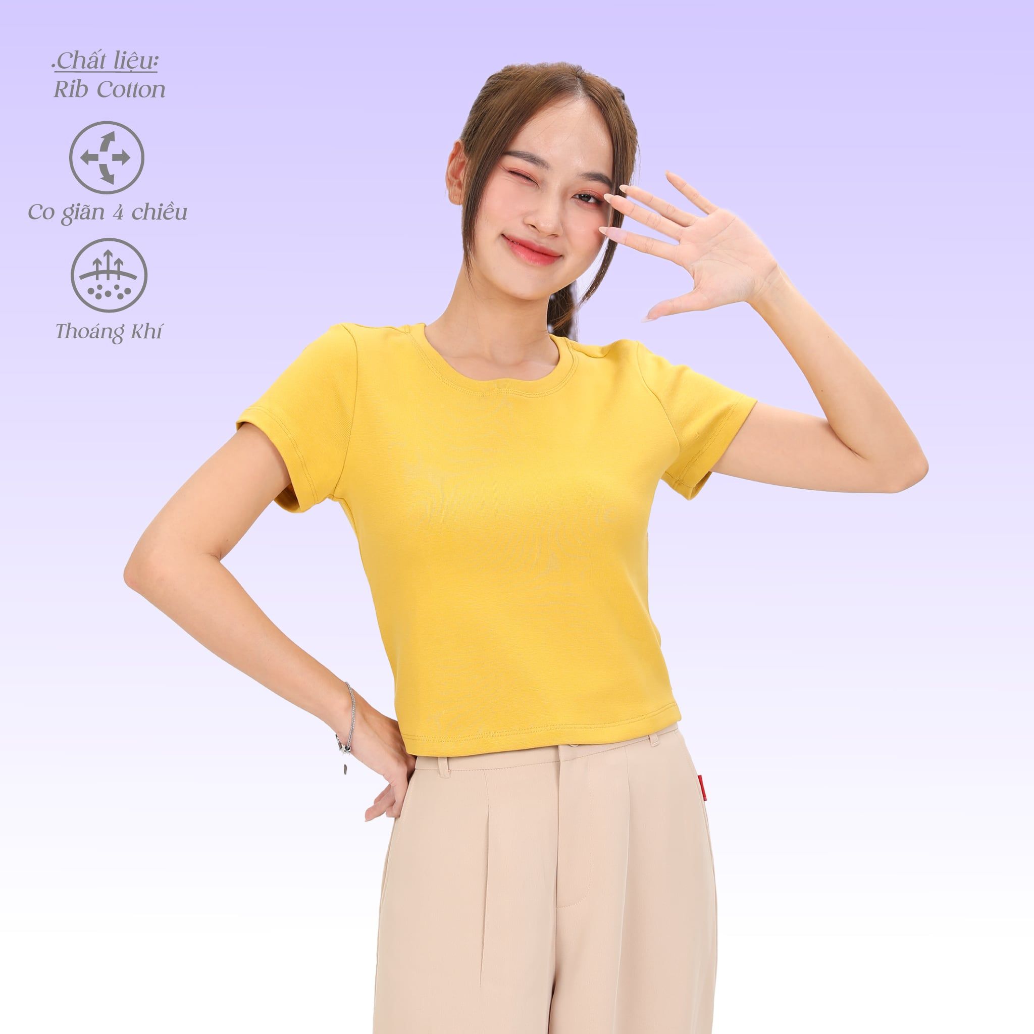 Áo Thun Croptop Tay Ngắn Chất Rib Cotton 220p 0268