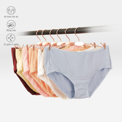 Combo 02-06-10 quần lót cotton siêu mát 027 7496