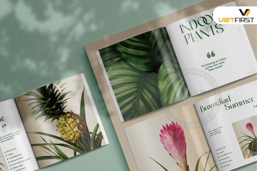  CATALOGUE CAO CẤP 