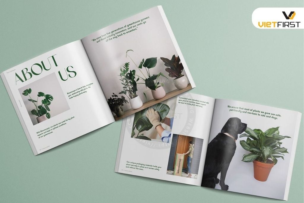  CATALOGUE CAO CẤP 