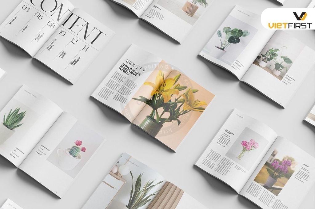  Catalogue dán gáy 