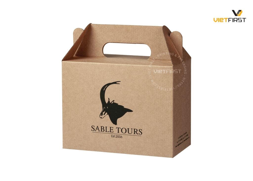  Hộp giấy có quai xách (hộp giấy treo) 