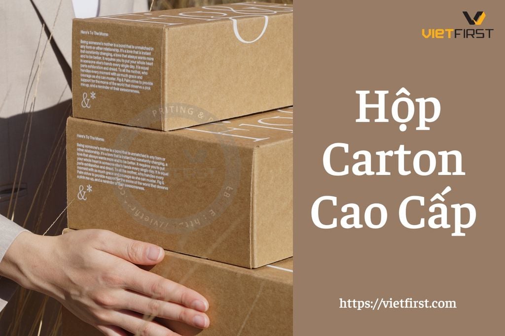  Hộp carton bồi 