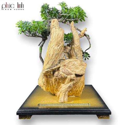 Thác Khói Cảnh Trầm Hương TC01 - MS13
