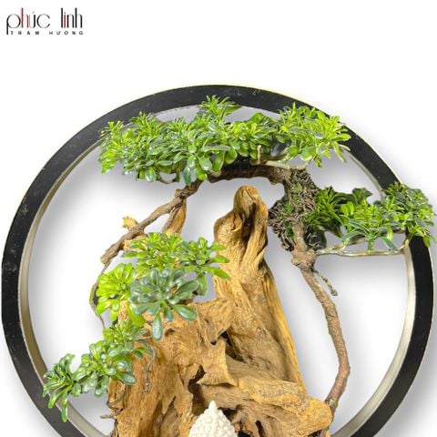 Thác Khói Cảnh Trầm Hương TC01 - MS13