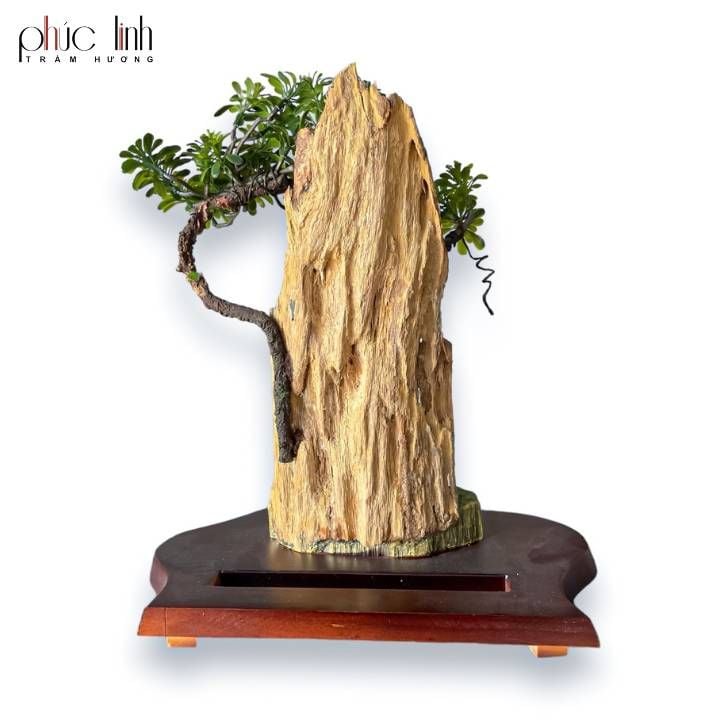 Thác Khói Cảnh Trầm Hương TC03 - MS10