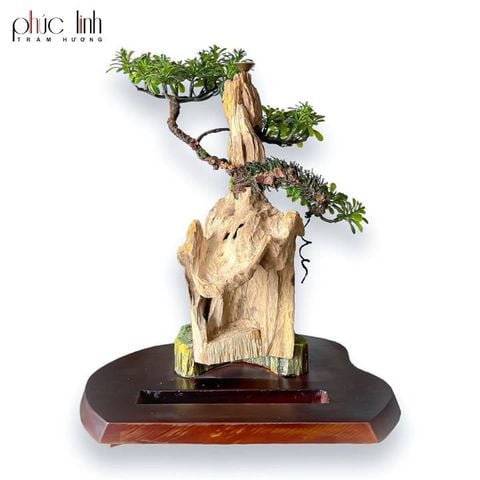 Thác Khói Cảnh Trầm Hương TC03 - MS01
