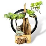 Thác Khói Cảnh Trầm Hương TC04 - MS02