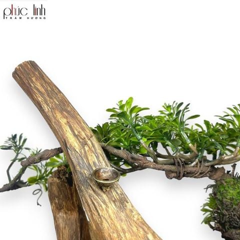 Thác Khói Cảnh Trầm Hương TC01 - MS14