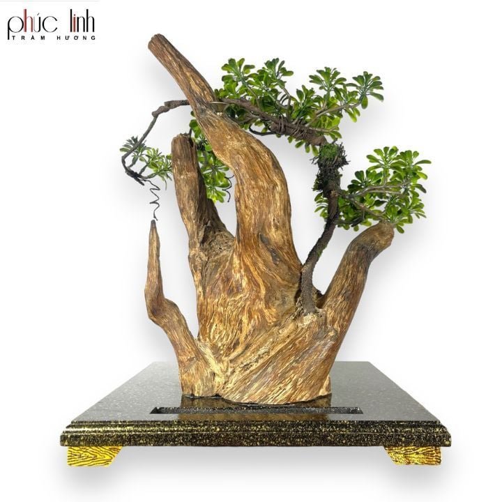 Thác Khói Cảnh Trầm Hương TC01 - MS14