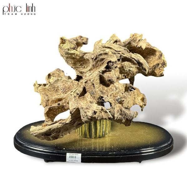 Cảnh Phúc Linh Việt Nam 1.6